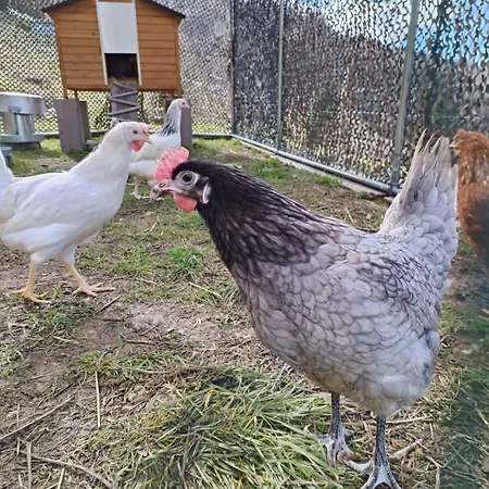 La Gorge Дом отдыха Lacrouzette