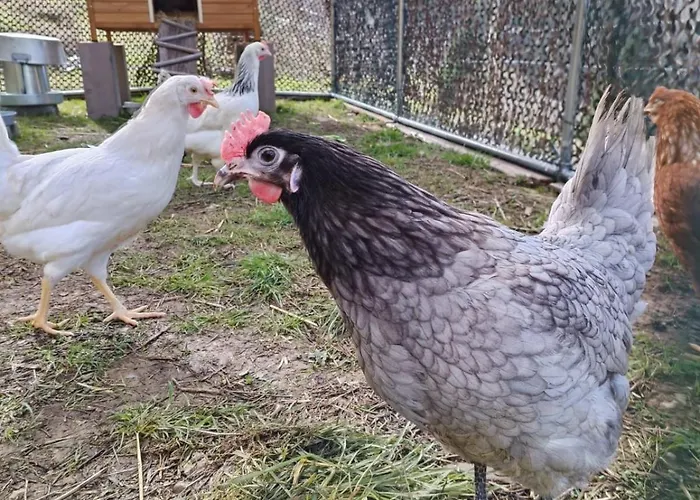 La Gorge Feriehus Lacrouzette